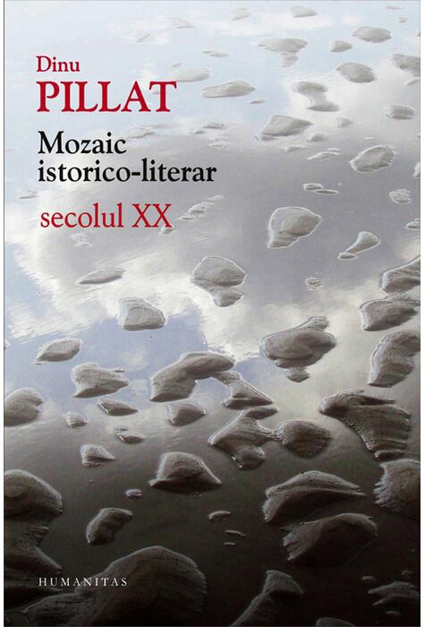 Copertă produs Mozaic istorico-literar