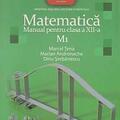 Copertă produs Matematica M1. Manual pentru clasa a XII-a (Dinu Şerbănescu, Marcel Ţena, Marian Andronache / Editura Art) - gallery small 