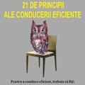 Copertă produs Liderul şi cele 21 de principii ale conducerii eficiente - gallery small 