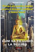 Imagine produs Cum să fii lucid la slujbă