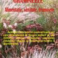 Copertă produs Gramineele. Alimentaţie, sănătate, frumuseţe - gallery small 