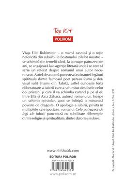 Copertă produs Cele patruzeci de legi ale iubirii