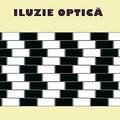 Copertă produs Iluzie optică - gallery small 